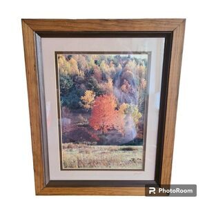 Vintage Autumn Fall Photography Wall Hanging Framed and Matted J Palmer 1988